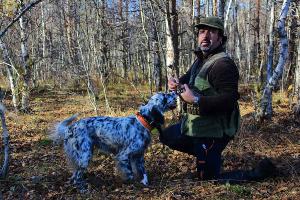Caccia alla Beccaccia in Estonia
